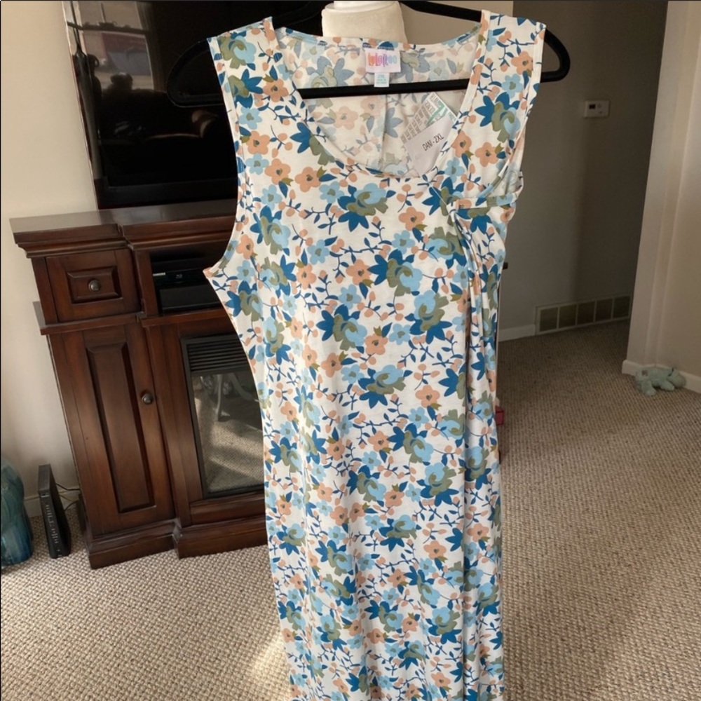 DANI- lularoe